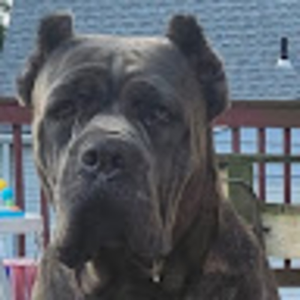 Meet your Posher, Scott